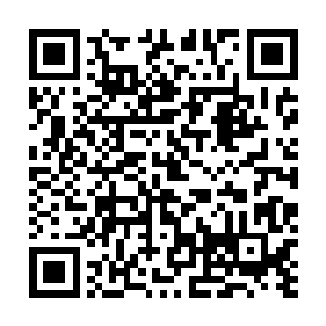 秦洛现在明白了为什么她敢肆无忌惮的开门让自己递衣服二维码生成