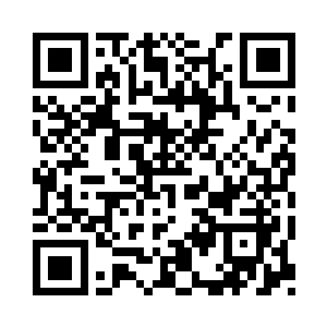 秦洛的失望已经难以掩饰的表现在脸上了二维码生成