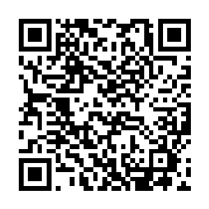 秦洛真想去敲这个总是忘记自己性别地糊涂家伙的脑袋二维码生成