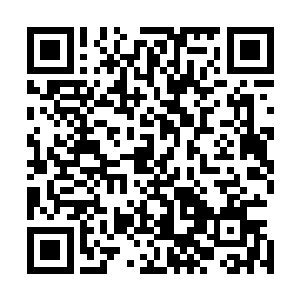 秦洛知道这两个机构在瑞典甚至全世界有着怎么样的影响力二维码生成