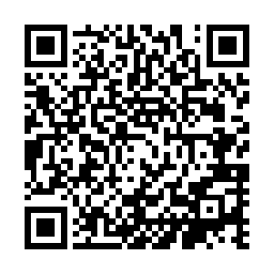 秦洛虽然知道江善水对待自己的态度是因为蔡公民看好自己二维码生成