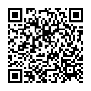 秦洛记得凌陨当时找到自己说他怀疑管绪时的痛苦纠结表情二维码生成