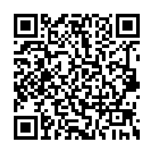 秦洛赶紧把自己的手从闻人牧月的肩膀上摘下来二维码生成