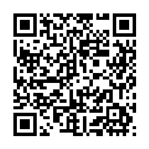秦洛转身看着这张每次看到都让人目眩神迷的俏脸二维码生成