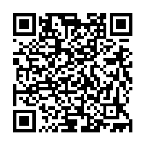 秦洛过去捏了捏贝贝胖乎乎的小脸陪着她嘻闹了一阵子后二维码生成