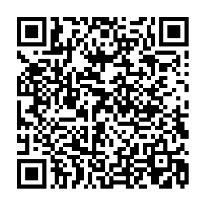 秦洛这个偶尔陪着看一会的人几乎都能把这部动画的剧情和笑点都记下来二维码生成