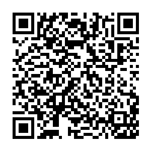 秦洛这才想起来他答应过张仪伊不能曝露了自己是她女婿这一事实二维码生成