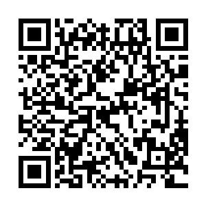 秦洛这种不看偶像剧的小白原本应该和他没有任何交际二维码生成
