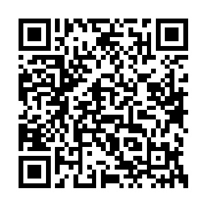 秦洛连续两次被苗女偷袭却没办法找到其资料后二维码生成