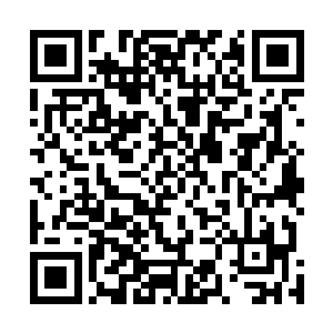 秦洛通过透明玻璃看着闻人牧月无限美好的身影快步离开二维码生成
