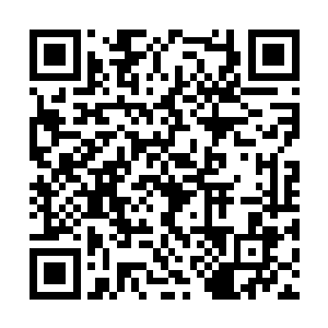 秦淮河对岸的金粉玉楼的生意也一时间消减了大半二维码生成