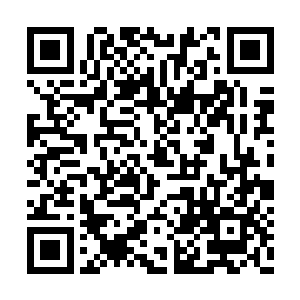 秦渭宣讲了一番自己十年前提出的真知灼见之后二维码生成