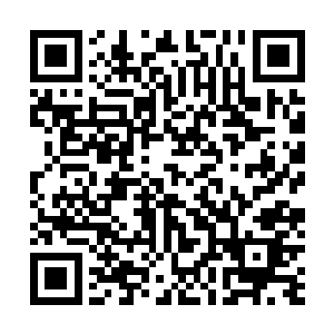 秦满接下来的一句话让得丘长老几人呼吸都变得急促起来二维码生成