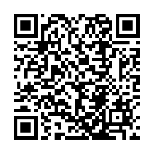 秦父还以为秦母阻拦是打算现在就去秦宇大舅公家拜年二维码生成