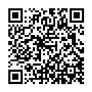 秦王也不好再拂了自己王妃的面子――免得她更打自己脸面二维码生成