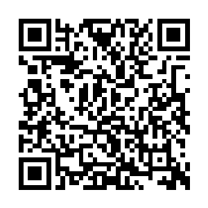 秦皇国国王并未在意剑尘多了一个祖爷爷的事情二维码生成