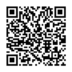 秦老已经将这本小册子寄给了远在江州的大儿子秦绍和二维码生成