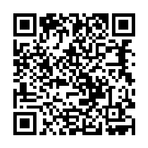 秦薇薇说为了镇海山会努力化解两人之间以前的误会二维码生成