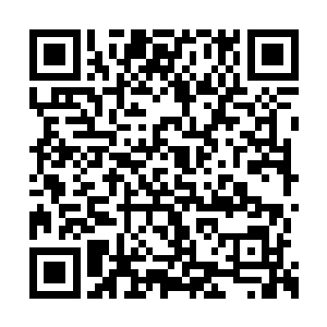 秦逆流不知道霍君白现在修为已经达到不堕境界二维码生成