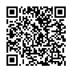 秦逆流这一掌包含有数百种正反生克力道的巧劲二维码生成