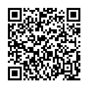 秦铮和谢芳华辞别了李沐清和李如碧一直没说话二维码生成