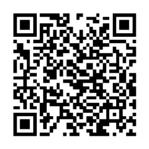 秦铮敏感地感觉到她依偎依靠的温暖的柔软的动作二维码生成