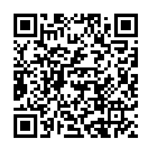秦铮能为了一只狗毫不含糊地灭了曾经第一杀手组织青衣楼二维码生成