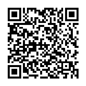 秦霜都不敢去送葬……听说当时见过许晴碎尸的人二维码生成