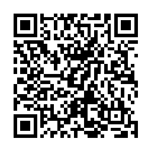 秦青这心里也是会很难过的……可若是再续命一两个月的话二维码生成
