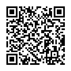 秦风很快也是冲着领着人又赶回来的徐少华吩咐道二维码生成