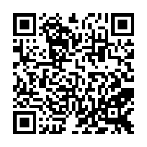 积攒在紫烟空间内的数百个土墙术刹那间全部释放了出来二维码生成