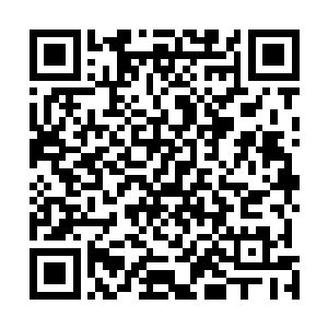 称双峰今年下半年开始还会陆续有相当多的工程建设启动二维码生成