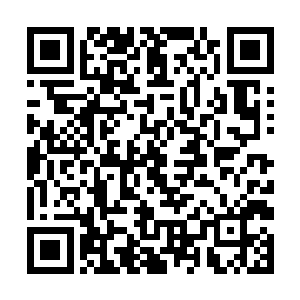 程兆儿在这些事情上已经逐渐的不再避讳这两兄弟了二维码生成