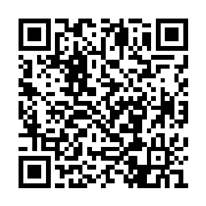 程兆儿总算是知道最近她姐怎么老是心不在焉的二维码生成