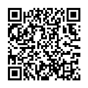 程兆儿立刻把今早特地炖的大骨头山药汤端出来二维码生成
