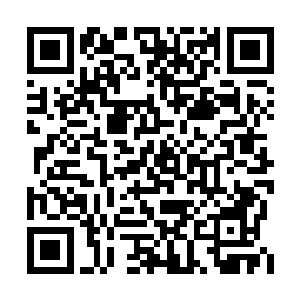 程娉以前在酒吧里工作时就是个很机灵的女孩子二维码生成