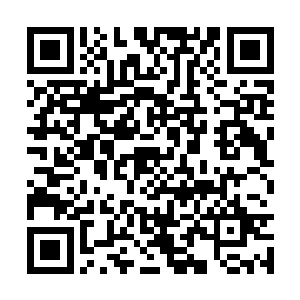 程强和郜晋喝酒一直到凌晨四点多快五点才回到家二维码生成