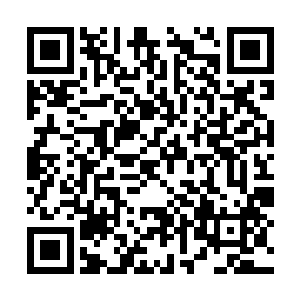 程氏还想把肠粉机也给王银花弄一台让王银花家做二维码生成