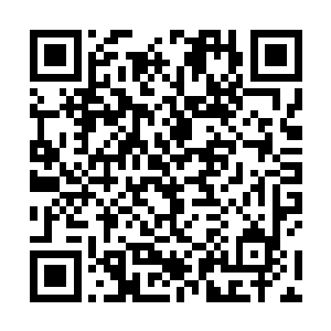 程浩宇现在巴不得是将李思辰当祖宗一样的供起来孝敬二维码生成