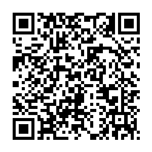 程熙像是明白了什么……盗骊说这么多的目的并不是要激她去会潇公主二维码生成