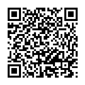 程莲儿的生活逐渐的距离她所熟悉的乡村生活越来越远了二维码生成