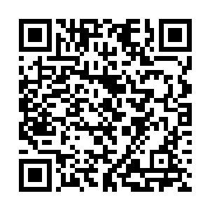 程长庆几乎是不间断的每日里都去守着听竹轩的铺子二维码生成