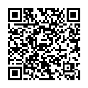稍侧了一下头就看到一艘游艇正向着这边驶了过来二维码生成