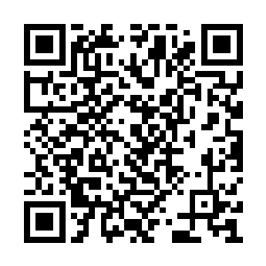 稍后开奖的欢乐大转轮即将开出的部分号码是050622二维码生成