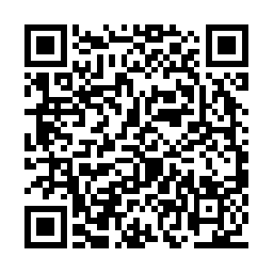 稍后我会介绍你们于马江成修士和林木管家认识二维码生成
