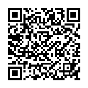 稍微会蹦跶的一点的会浪费一颗价值不菲的子弹二维码生成