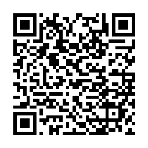 稍微清醒过来之后我本能地想抬一下胳膊转一下身二维码生成