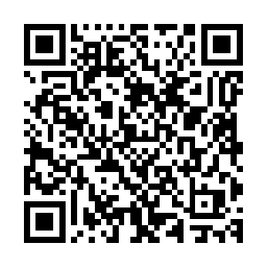稍微聪明点的都知道比军阀混战更残酷的诸皇之战即将爆发了二维码生成