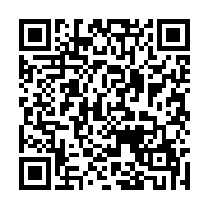 稍有一个不小心它就钻出来干扰我的正常思维判读二维码生成