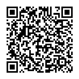 稍有不慎就可能把自己的小命丢掉的……至尊境以下的那就更加不用说了二维码生成